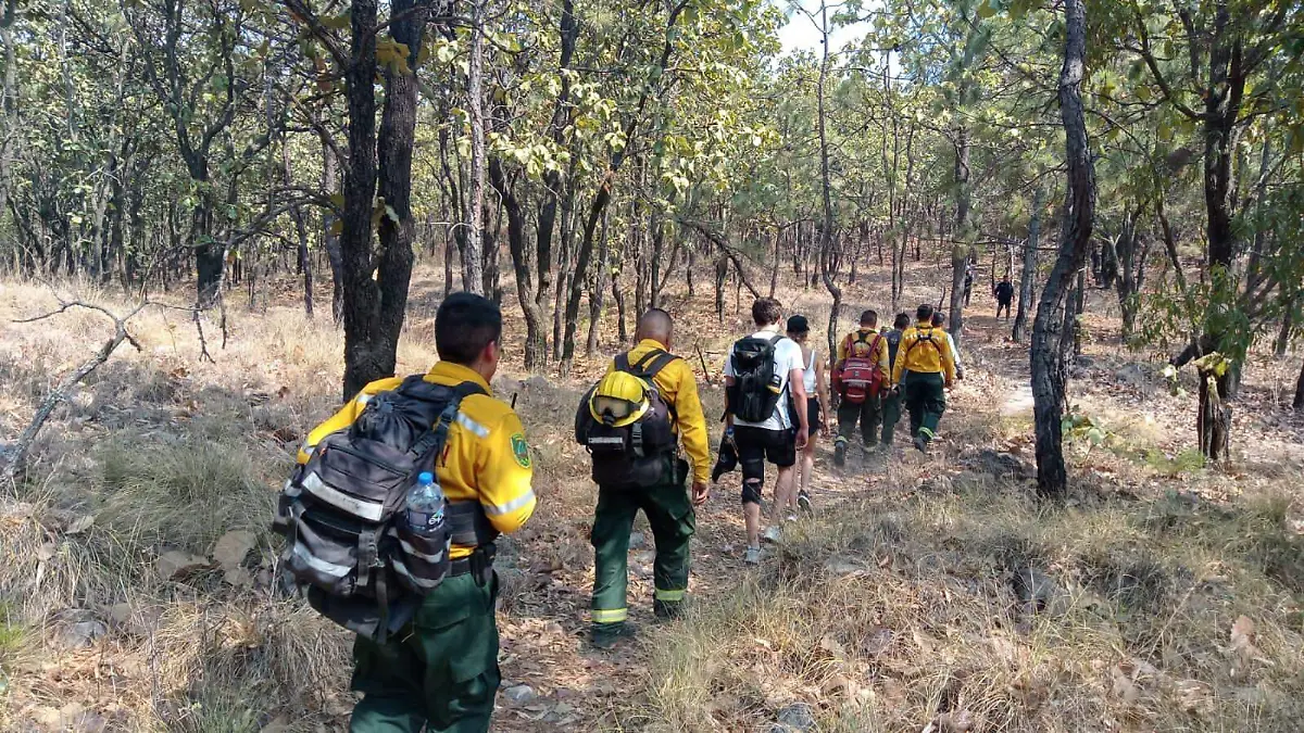 Rescatan a dos personas perdidas del Bosque de la Primavera